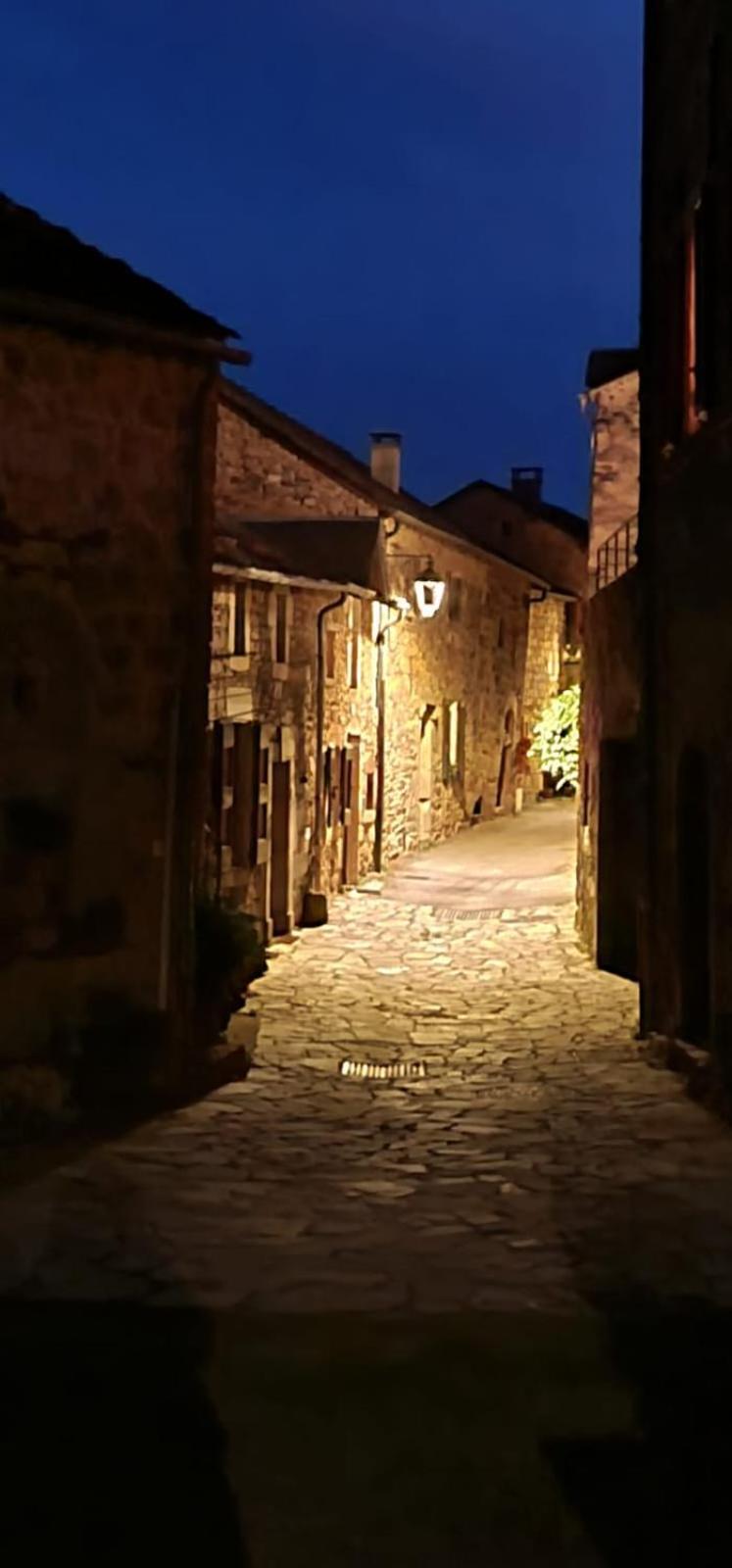 The Tavern Castelnau-Pegayrols Bagian luar foto